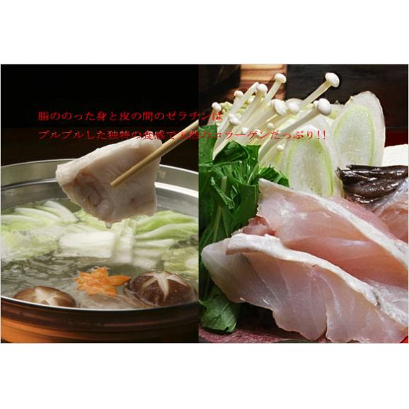 高級天然クエ鍋セット【3～4人前】【送料無料】02