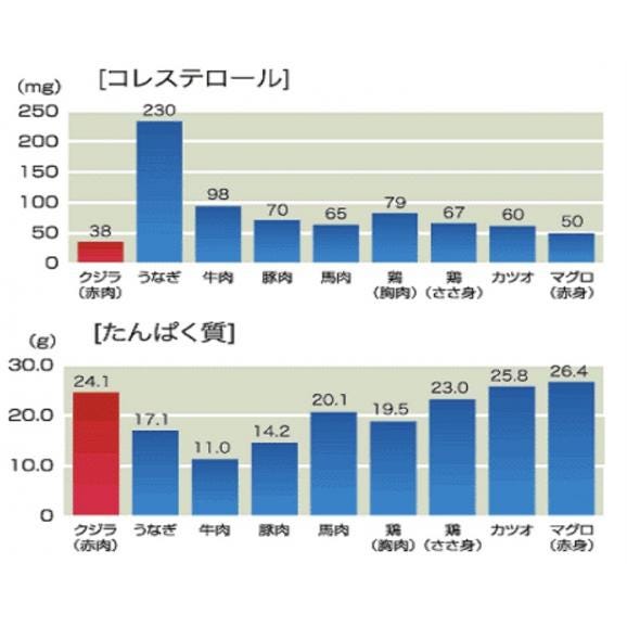 ニタリ鯨 低温熟成 刺身用 赤身鯨肉 500ｇ05