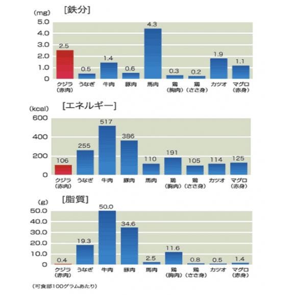 イワシ鯨 低温熟成 刺身用 赤身鯨肉 500ｇ05