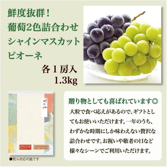アミナチュールフルーツの旬の葡萄2色詰合せ各1房(1.3kg)03