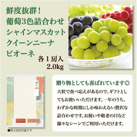 【期間限定】アミナチュールフルーツの旬の葡萄3色詰合せ各1房(2.0kg)03