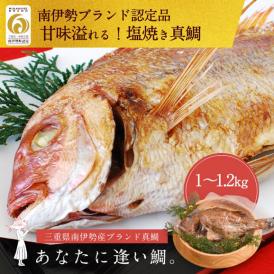 南伊勢ブランド真鯛【電子レンジで簡単！甘み溢れる塩焼き真鯛】１kg〜1.2kg