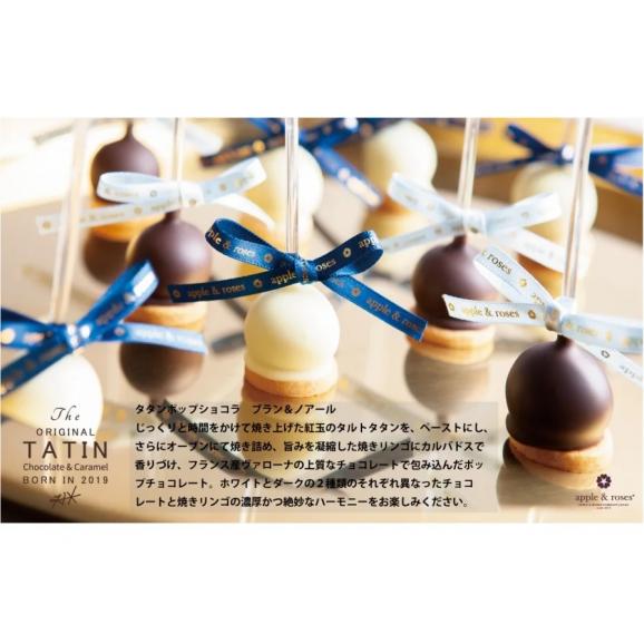 タタンポップショコラ（１０本入り）03