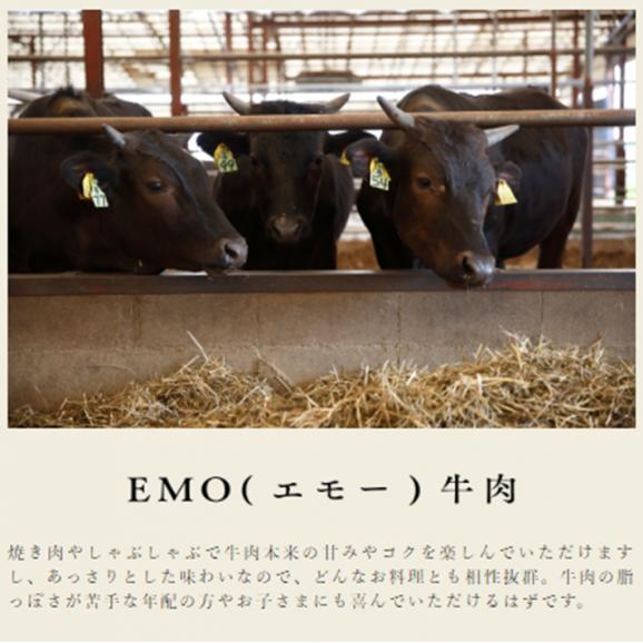 宮崎　有田牛(EMO牛)手ごね生ハンバーグ 150g×10個セット04