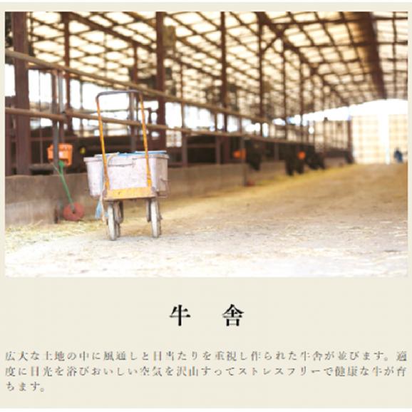 宮崎県産 黒毛和牛　EMO牛（有田牛）肩・バラ・モモ　切落し500g03