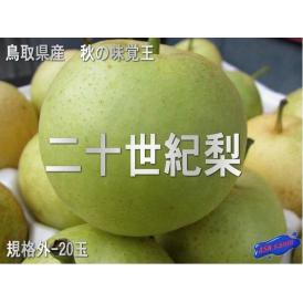 予約販売　二十世紀梨（20世紀梨）規格外品40玉入り8kg前後（着日指定不可、8月下旬から順次発送）