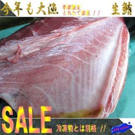 境港産（予約販売）天然生本まぐろの腹身1枚5kg以上　大トロたっぷり!! 　黒鮪　マグロ　本まぐろ　クロマグロ　くろまぐろ　はらみ　ハラミ　とろ　トロ　