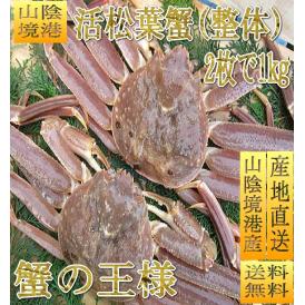 活松葉蟹整体1kgセット(2杯)　まつば　マツバ　かに　カニ　ずわい　ズワイ　