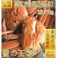 ボイル松葉蟹2杯で1kg前後(整体)　まつば　マツバ　かに　カニ　