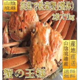 ボイル松葉蟹2杯で1kg前後(整体)　まつば　マツバ　かに　カニ　