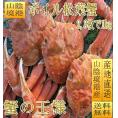 （11月下旬発送）ボイル松葉蟹2杯で1kg前後(足1、2本ナシ)　まつば　マツバ　かに　カニ　ずわい　ズワイ　