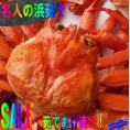 （着日指定不可、入荷次第発送）ボイル紅ずわい蟹M5尾セット　べにずわい　ベニズワイ　かに　カニ　