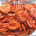 浜茹紅ずわい蟹B10kg(冷凍)　かに　カニ　ズワイ　べに　ベニ　がに　ガニ　