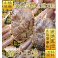 （11月下旬発送）活松葉蟹特選2杯で1kg(足1、2本ナシ)　まつば　マツバ　かに　カニ　ずわい　ズワイ　