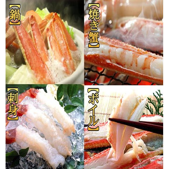（11月下旬発送）活松葉蟹特選2杯で1kg(足1、2本ナシ)　まつば　マツバ　かに　カニ　ずわい　ズワイ　02