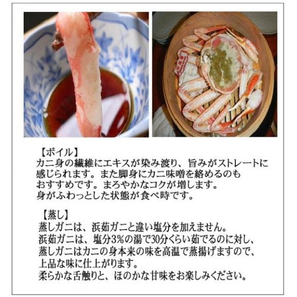 （11月下旬発送）活松葉蟹特選2杯で1kg(足1、2本ナシ)　まつば　マツバ　かに　カニ　ずわい　ズワイ　03
