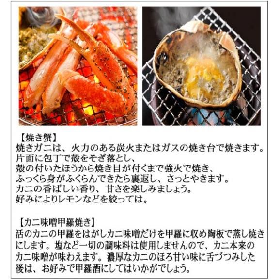 （11月下旬発送）活松葉蟹特選2杯で1kg(足1、2本ナシ)　まつば　マツバ　かに　カニ　ずわい　ズワイ　05