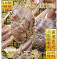 （11月下旬発送）松葉蟹1枚800g前後(足1、2本ナシ)　まつば　マツバ　かに　カニ　ずわい　ズワイ　