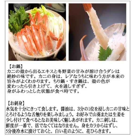 （11月下旬発送）松葉蟹1枚800g前後(足1、2本ナシ)　まつば　マツバ　かに　カニ　ずわい　ズワイ　04