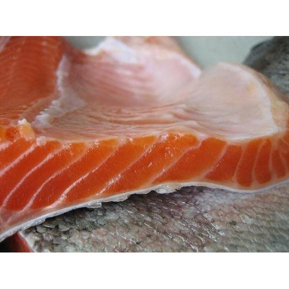 生食用サーモンフィレ1kg前後(900～1200g)冷凍　さーもん　サケ　鮭　さけ　とろ　トロ　02