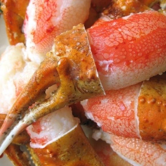 ボイルずわい蟹親爪Lサイズ1kg　ずわい　かに　カニ　つめ　ツメ　03