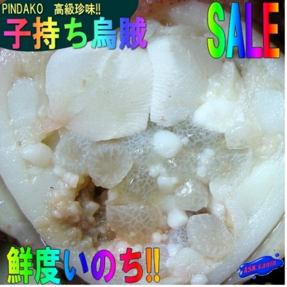 ピンダコ3kg(冷凍)　みみいか　ミミイカ　烏賊　02