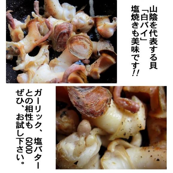 白バイ3kg詰め(冷凍)　かい　貝　カイ　ばい　05