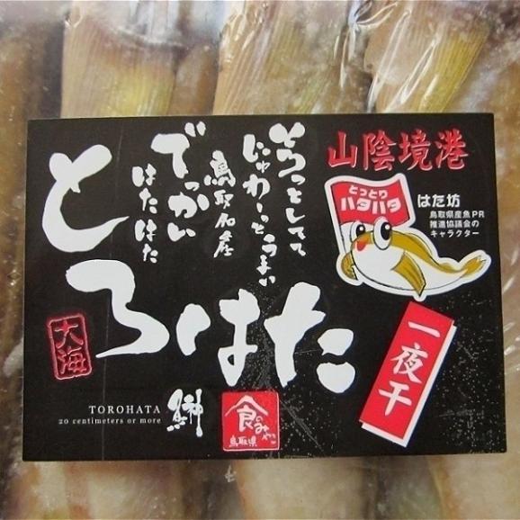 とろはた一夜干し20尾入り　ハタハタ　鰰　とろはた　トロハタ　境港　ハタハタ　鰰　干物　乾物　　04