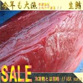 季節限定（予約販売）　山陰境港産 天然生本まぐろ背トロ400～500g 前後　黒鮪　マグロ　本まぐろ　クロマグロ　くろまぐろ　とろ　