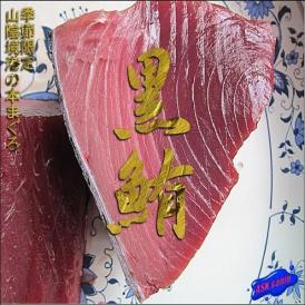 季節限定（予約販売）　山陰境港産 天然生本まぐろ赤身400～500g前後　黒鮪　マグロ　本まぐろ　クロマグロ　くろまぐろ　あかみ　アカミ　