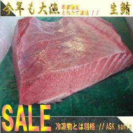 季節限定（予約販売）　山陰境港産 天然生本まぐろ腹身上3kg前後　黒鮪　マグロ　本まぐろ　クロマグロ　くろまぐろ　はらみ　ハラミ　とろ　トロ　