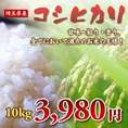 埼玉県産コシヒカリ10kg
