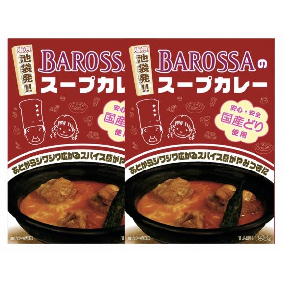 【ネコポス発送】東京・池袋のレストラン『バロッサ』のスープカレー(チキン)2個パック(レトルトカレー)現金代引不可 01