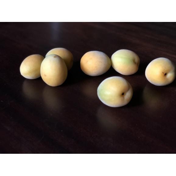 梅の発酵シロップセット02