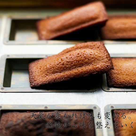 オクトーブル焼き菓子詰合せ フィナンシェ3種3個(オリジナルコットン袋）03