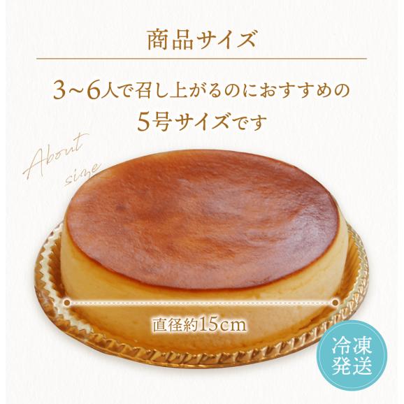 【口解けまろやか】ふわとろチーズケーキ(5号 15cm)【お試し商品】【魅惑の新食感】【ＴＶ雑誌でも大絶賛】【贈り物】【誕生日】【記念日】【結婚祝い】【内祝い】【母の日】【ホワイトデー】03