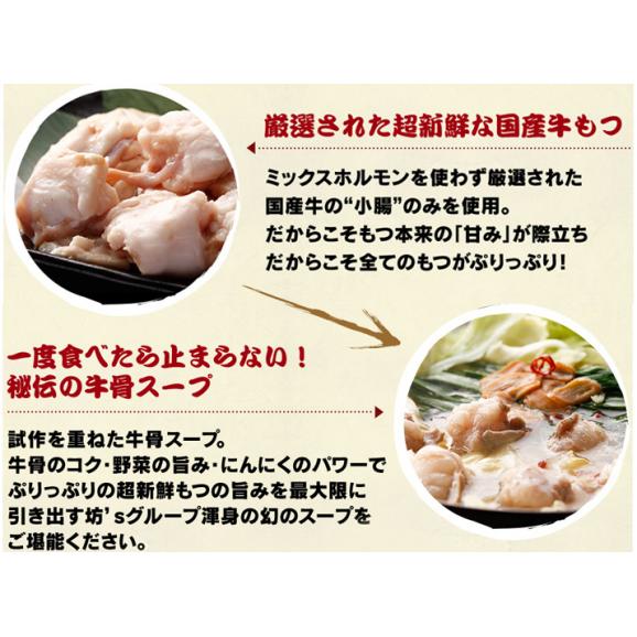 お得！【送料無料】坊‘ｓのもつ鍋（４～６人前）＆ちゃんぽん麺付き　通販５周年記念キャンペーン【ご自宅用に、贈り物にも　お祝い/お取り寄せ/地鶏坊主】04