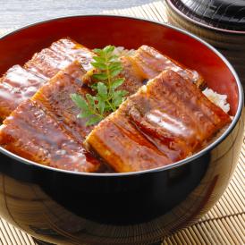 うなぎ 蒲焼き ひつまぶし ウナギ 特大 有頭 鰻 肝串 うなぎ肝 送料無料 おまけ付 ギフト プレ