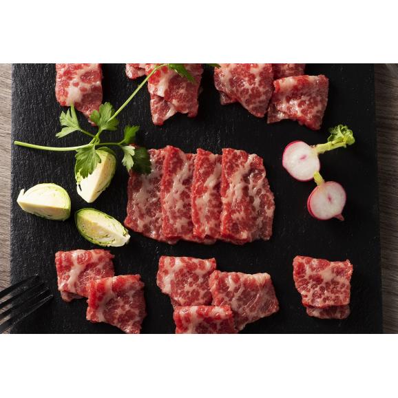 【送料無料】フジチク 馬刺し 堪能セット【肉/馬肉/馬刺/ヘルシー/贈答/ギフト】06