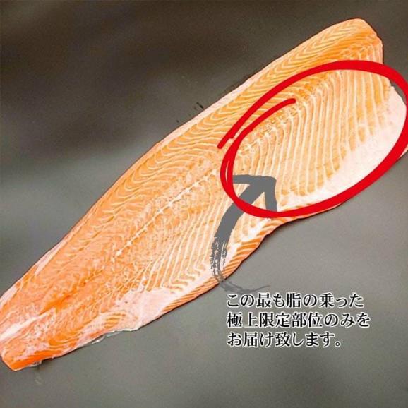 【送料無料】とろサーモン 刺身用 鮭 アトランティックサーモン 海鮮 グルメ ギフト02