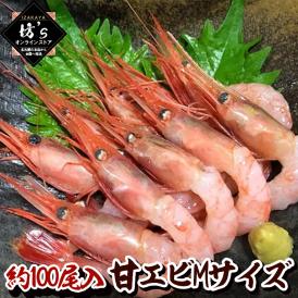 【送料無料】お刺身OK！カナダ産 甘エビMサイズ 約100尾入 総重量：約1キロ /海老 エビ 生食 刺身 海鮮