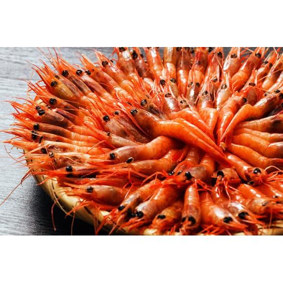 【送料無料】お刺身OK!カナダ産 甘エビMサイズ 約100尾入 総重量:約1キロ /海老 エビ 生食 刺身 海鮮02