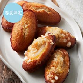 季節のフィナンシェ アソート〈シトロン〉[春夏限定]（10個入）