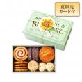 【夏ギフト】ブルターニュ クッキーアソルティ〈缶〉（23個入）[お届け期間6/1～8/31]