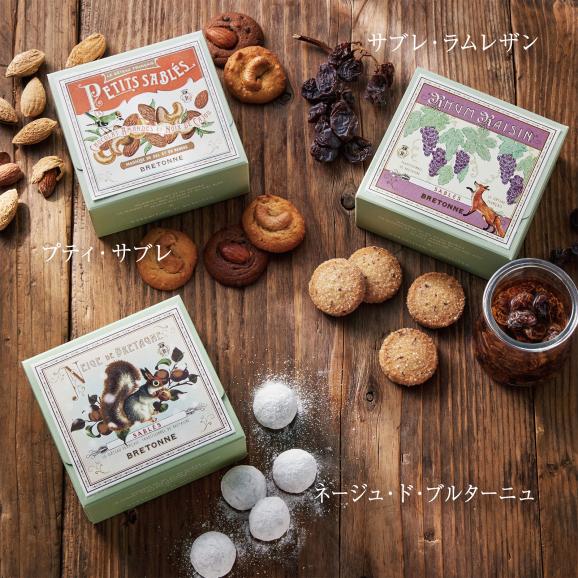ネージュ・ド・ブルターニュ[期間限定]（9個入）05
