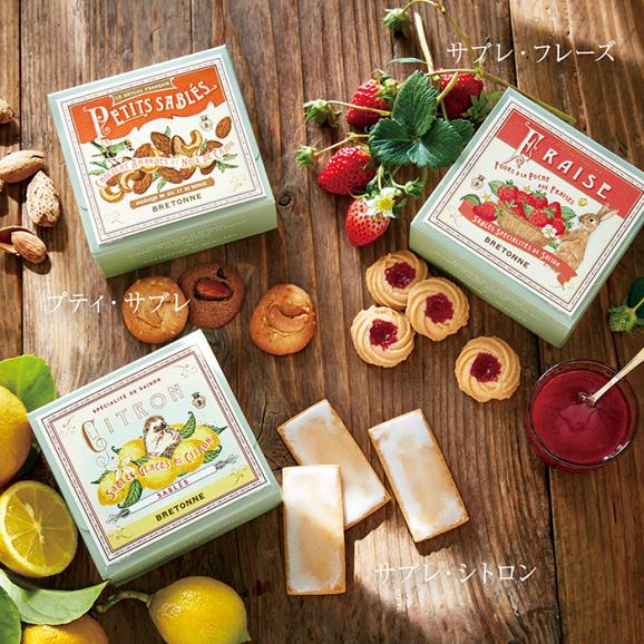サブレ・フレーズ[春夏限定]（10個入）05