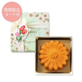 【母の日】マーガレット〈発酵バターとバニラのケーク〉（1個入）