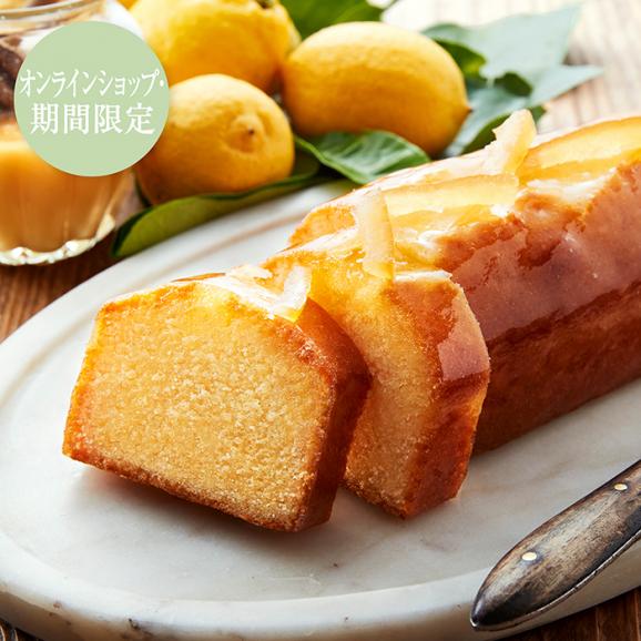 レモンとはちみつのケーク[期間限定・オンラインショップ限定]（1本入）＜約9日後以降お届け＞01