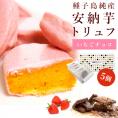 【ポイント10倍】安納芋トリュフ「いちご」チョコレート5個入   父の日 ギフト 内祝 結婚 誕生日 プレゼント スイーツ  出産