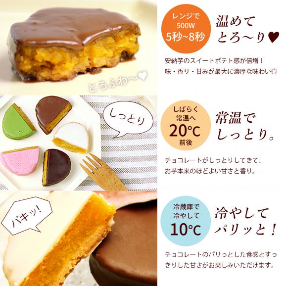 【ポイント10倍】【夏季限定】安納芋トリュフ「ソルティレモン」チョコレート8個入 お中元  ラッピング  ギフト 内祝 結婚 誕生日 プレゼント スイーツ  出産06